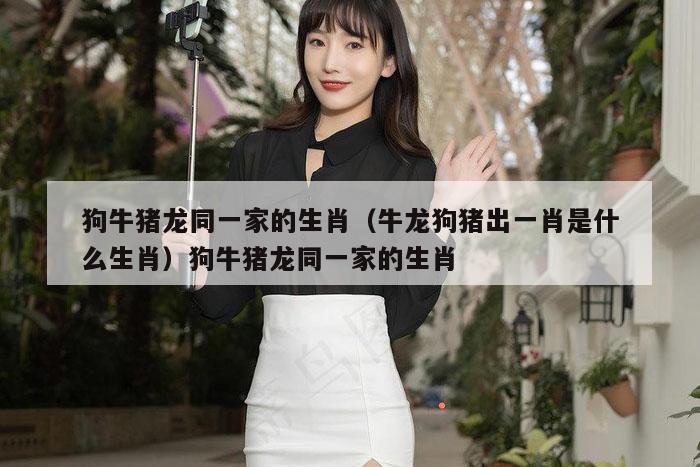 狗牛猪龙同一家的生肖（牛龙狗猪出一肖是什么生肖）狗牛猪龙同一家的生肖